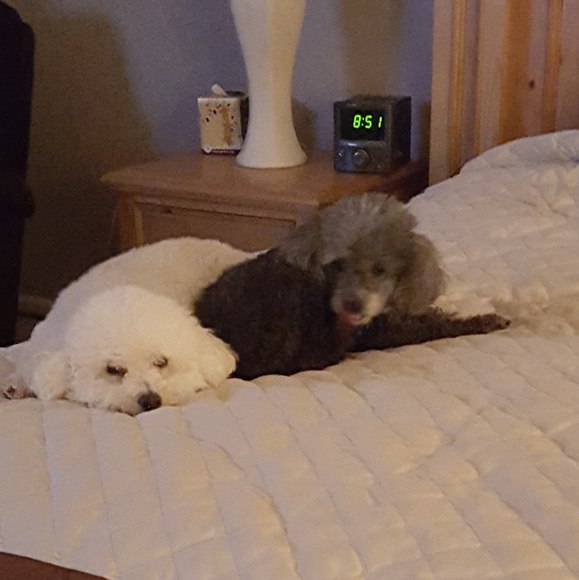 Meet your Posher, Joseph - Picture 1 of 1